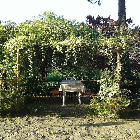 B&B Della Rosa Civitella D'Arna Buitenkant foto
