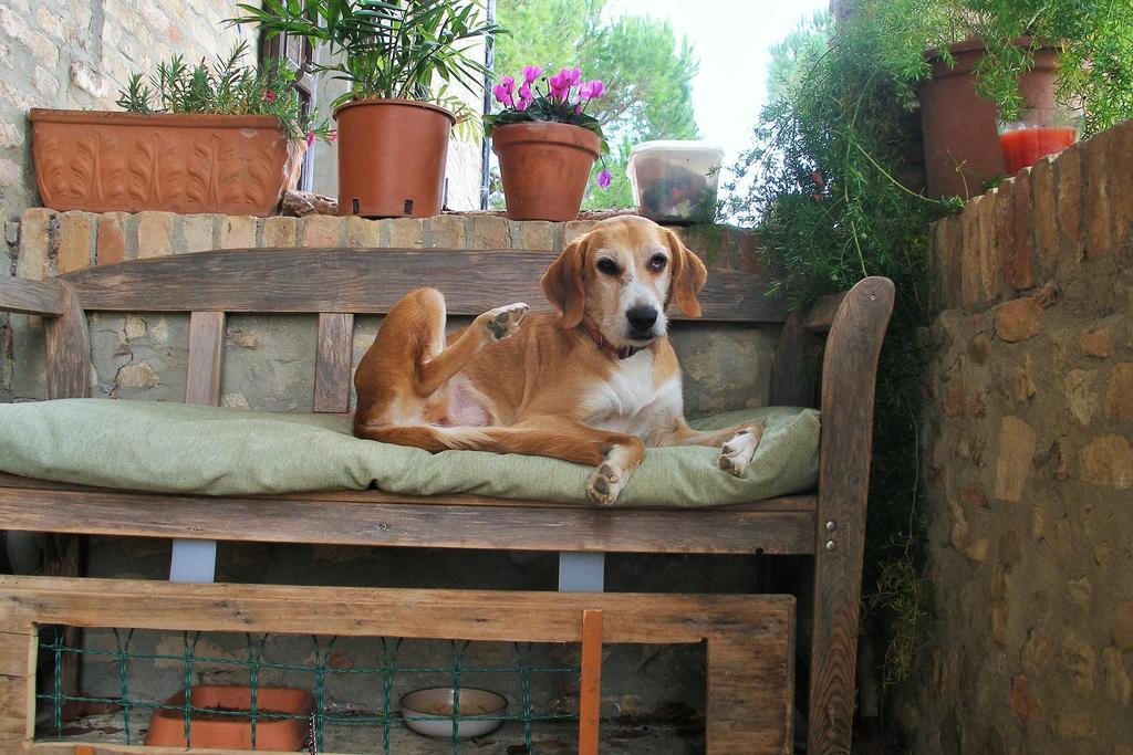 B&B Della Rosa Civitella D'Arna Buitenkant foto