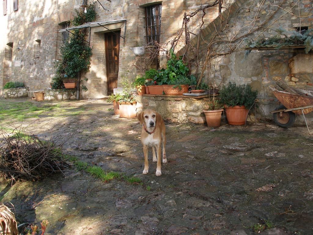 B&B Della Rosa Civitella D'Arna Buitenkant foto