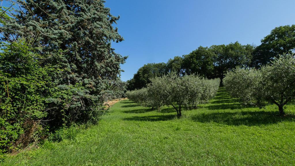 B&B Della Rosa Civitella D'Arna Buitenkant foto